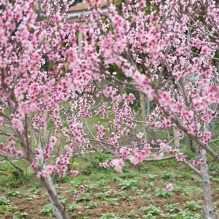 Feriehus Elizabeth By Antigone Halikounas