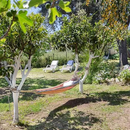 Elizabeth By Antigone Halikúnasz