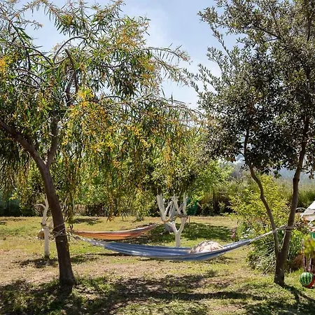 Tatil Evi Elizabeth By Antigone