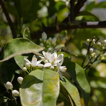 Holiday home Elizabeth By Antigone